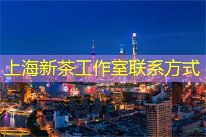 体验上海夜生活的五大热门场所
